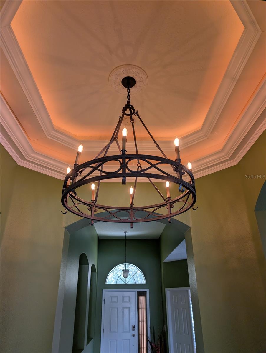 7343 FOREST MERE DRIVE