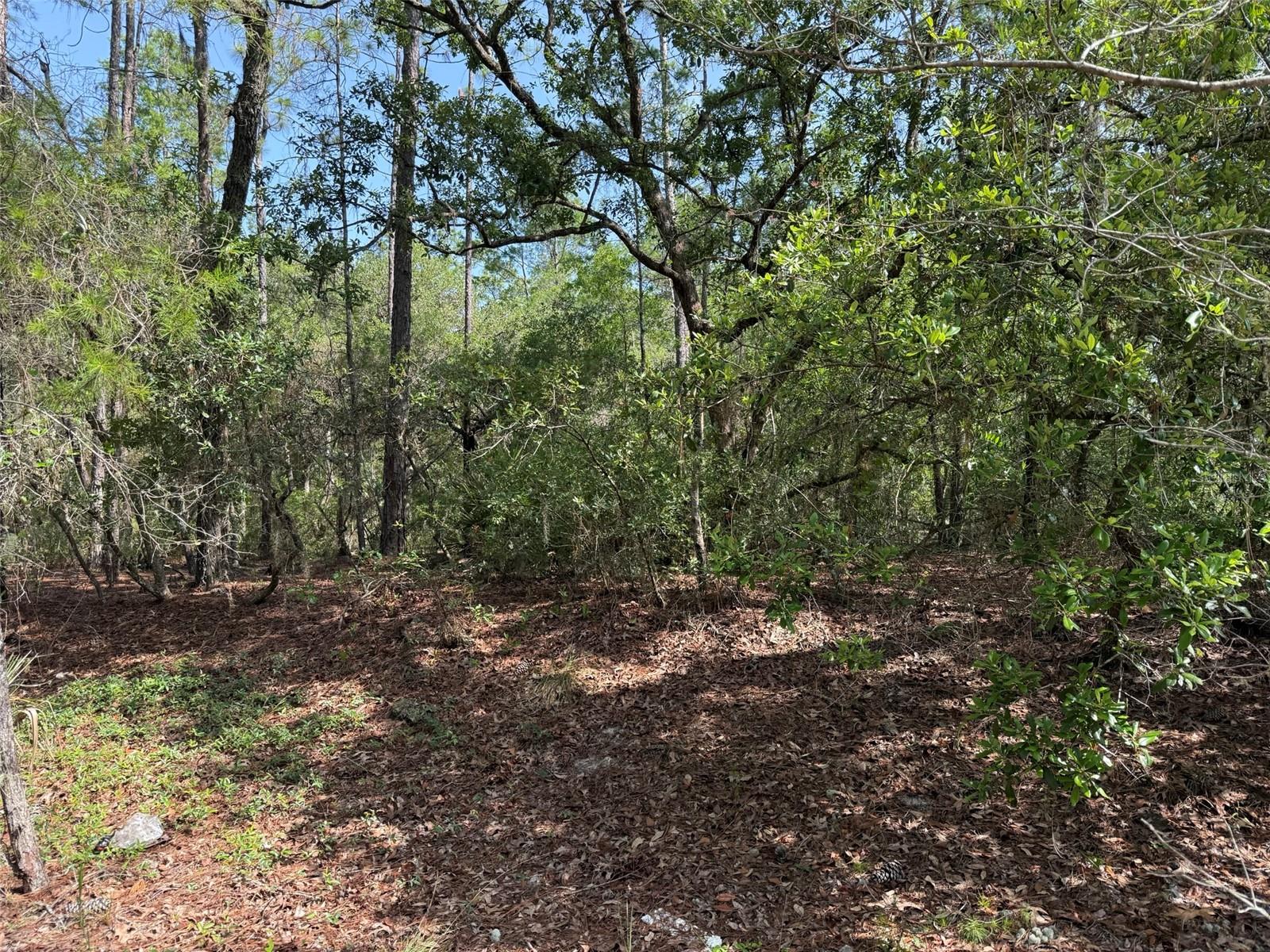 ST JOHNS RIVERSIDE ESTATES - Land