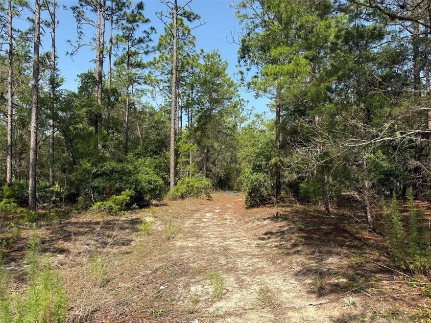 Build your dream home or investment property on this spacious vacant 2.67 ACRE lot in the heart of Satsuma. With a prime location on Washington Ave, this property offers privacy, flexibility, and the potential to create exactly what you want. Zoned R-2, this property allows a wide range of home types—tiny homes, mobile homes, modular homes, barndominiums, or traditional site-built homes—giving you complete flexibility to design your dream property. The lot will require a well and septic system, giving you freedom to design your utilities. Take advantage of this rare opportunity to own land in a charming Florida community—perfect for long-term investment or your next custom build.