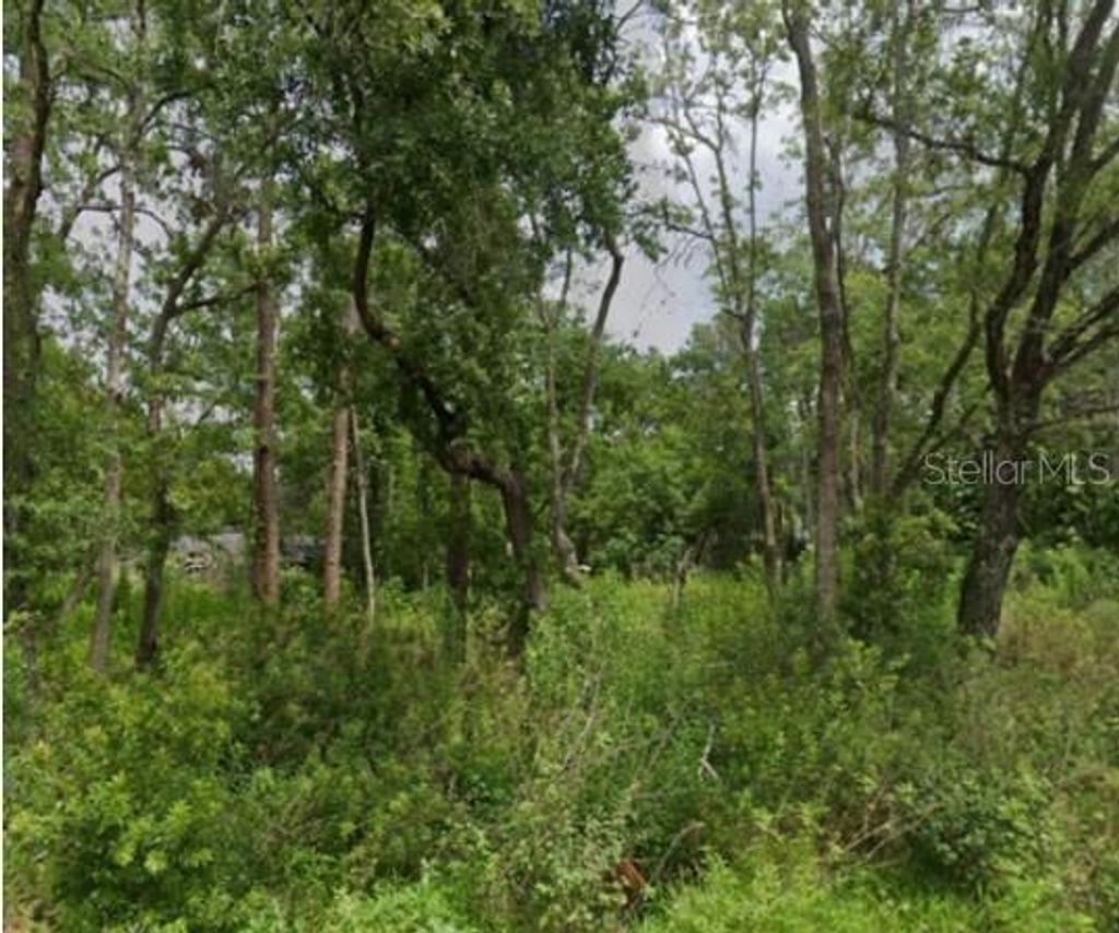 Photo of 5728 Elaine Drive, Zephyrhills, FL 33541 (MLS # OM719591)