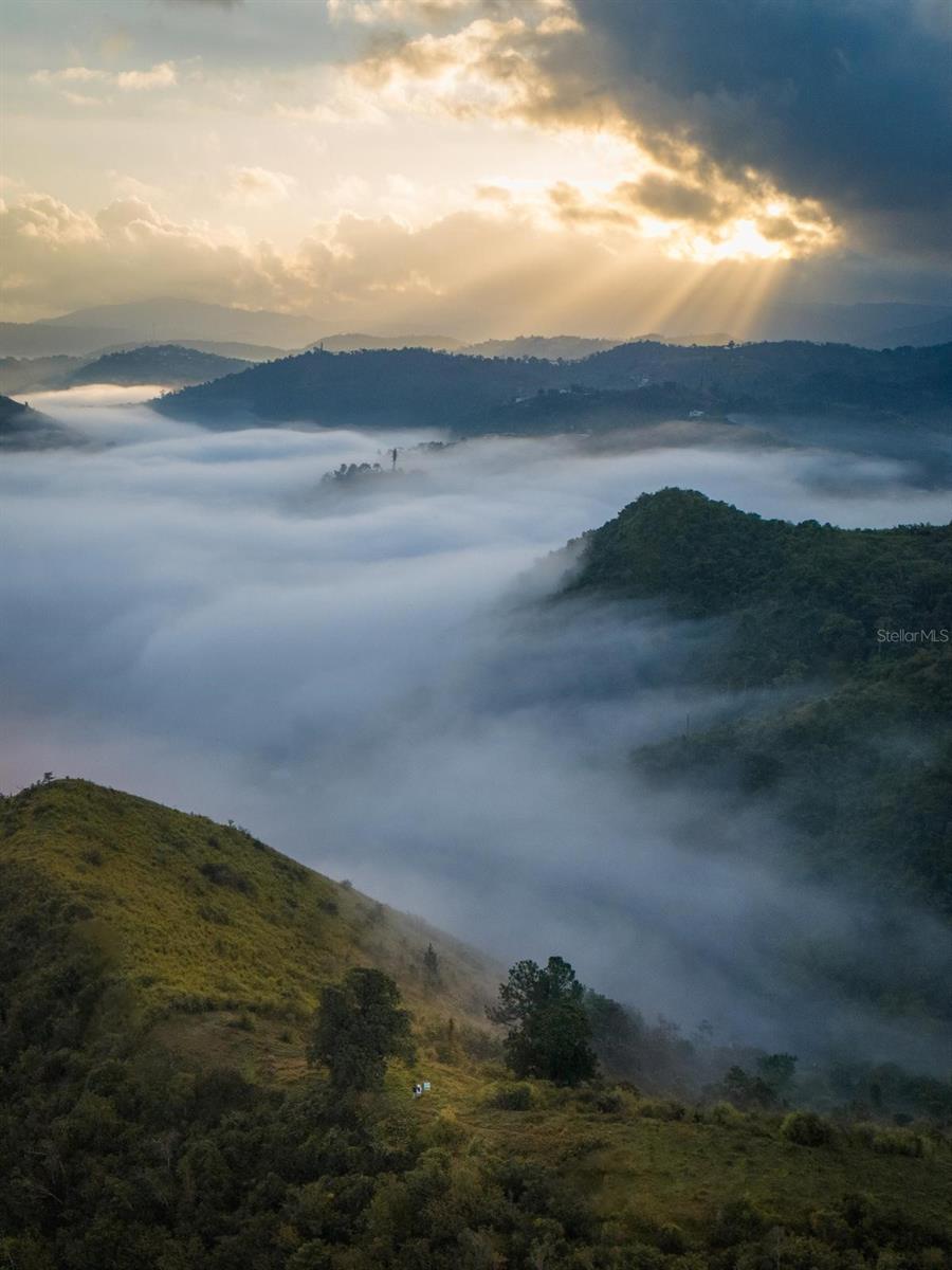 Calle Santa Clara BO. MATON ABAJO PARC 46