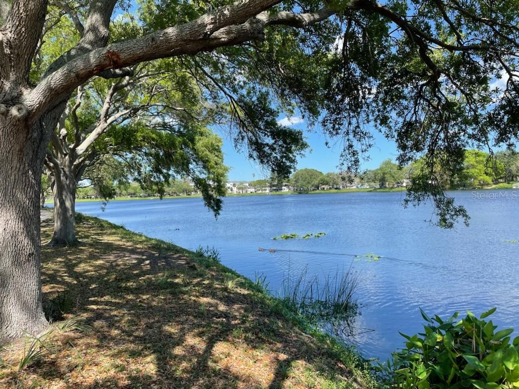 EUCLID ST PAUL - Residential Lease