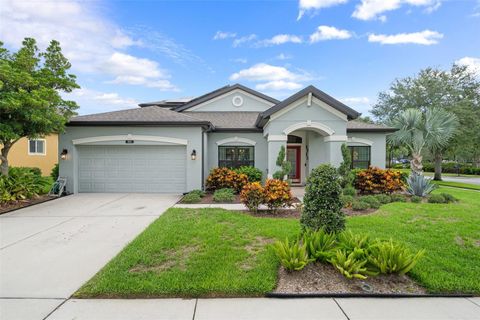 A home in LAND O LAKES