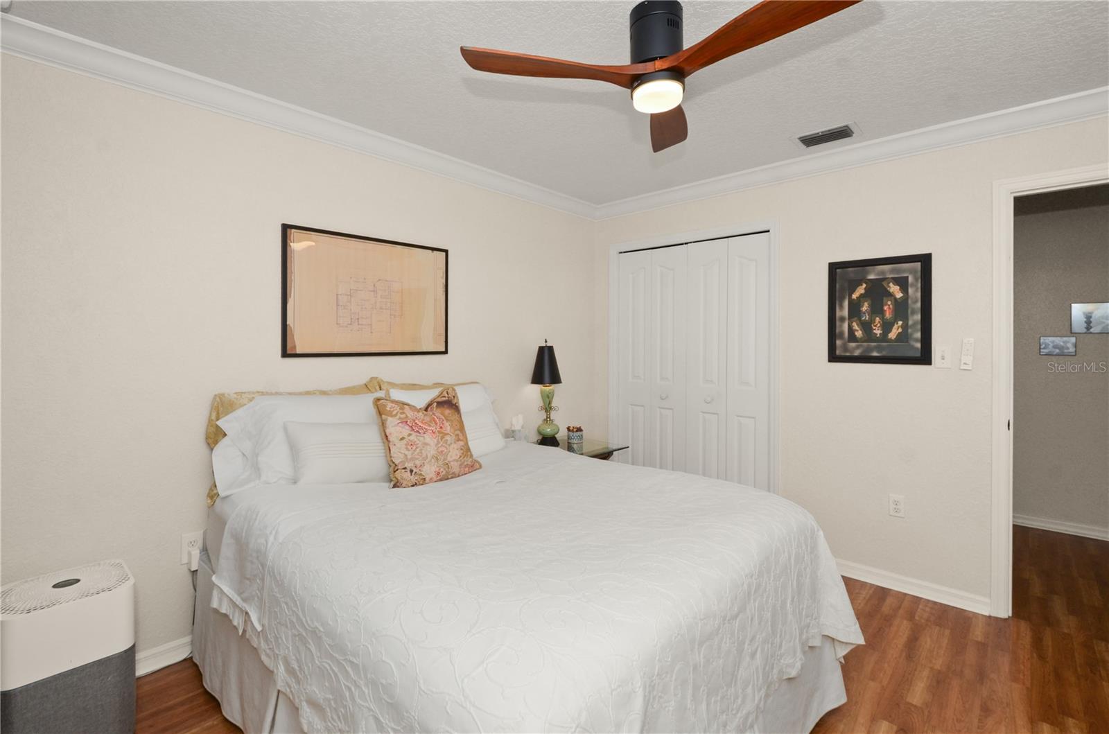 MOUNT DORA CHAUTAUQUA OVERLOOKING MOUNT DORA - Residential