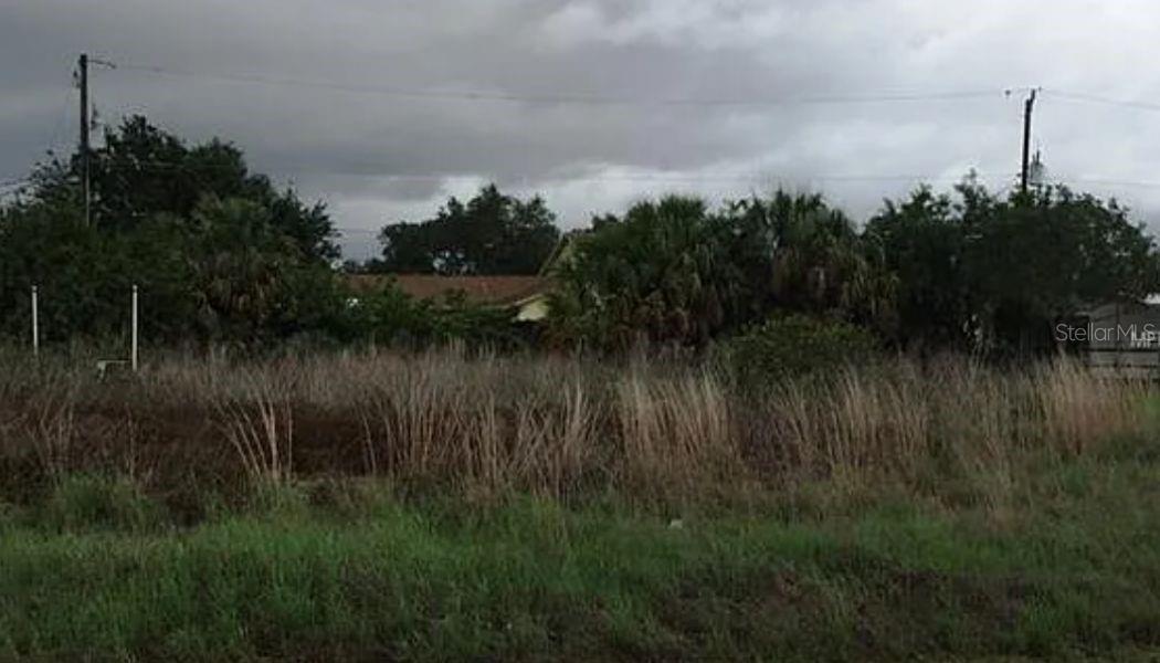 Build your dream home on this oversized residential lot in a quiet area of Port Charlotte. This 0.3176-acre parcel offers approximately 13,833 square feet with a depth of 125 feet, providing ample space for a single-family residence with outdoor living features. Zoned RSF3.5, the property has a County Use Code of "95 – Residential Vacant" and is classified as a Residential Lot . Located on a paved road with electric nearby. Public water is available; septic system required. No HOA or deed restrictions. Convenient access to US-41 and I-75, nearby shopping centers, restaurants, parks, and area schools. A short drive to beaches, golf courses, and public boat ramps.