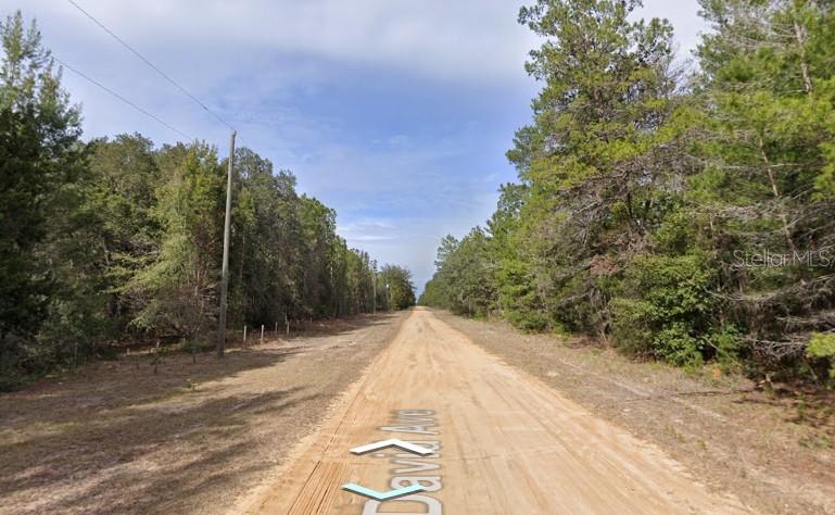Photo of David Ave, Interlachen, FL 32148 (MLS # D6149175)