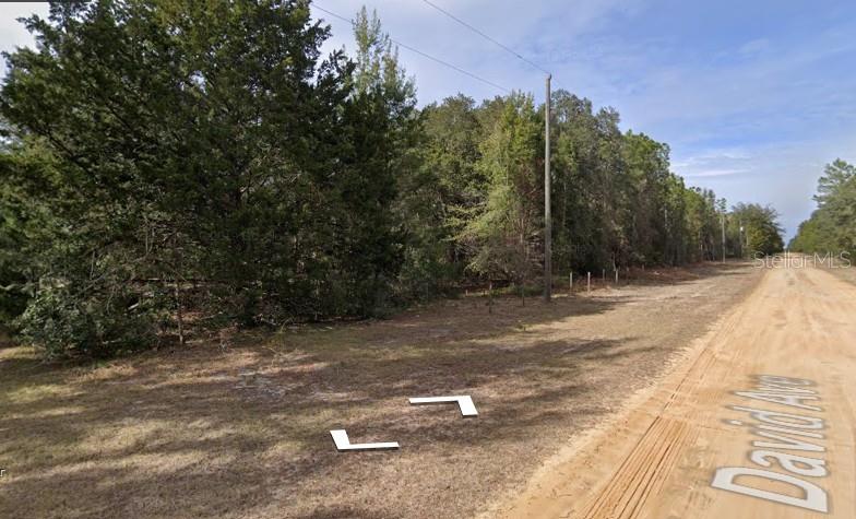 Photo of David Ave, Interlachen, FL 32148 (MLS # D6149175)