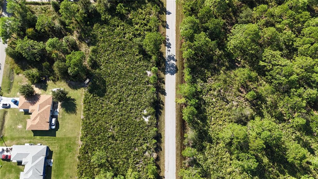 Photo of 541 Embracer Street NW, Lake Placid, FL 33852 (MLS # TB8355414)