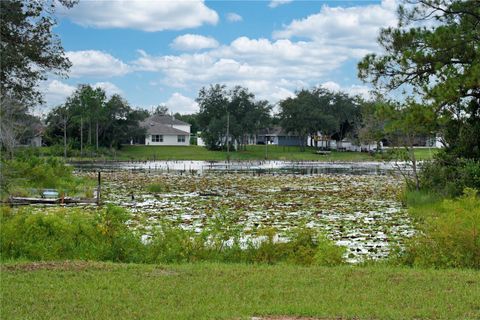 A home in DELTONA