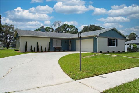 A home in DELTONA