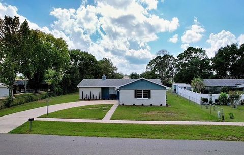 A home in DELTONA