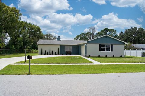 A home in DELTONA