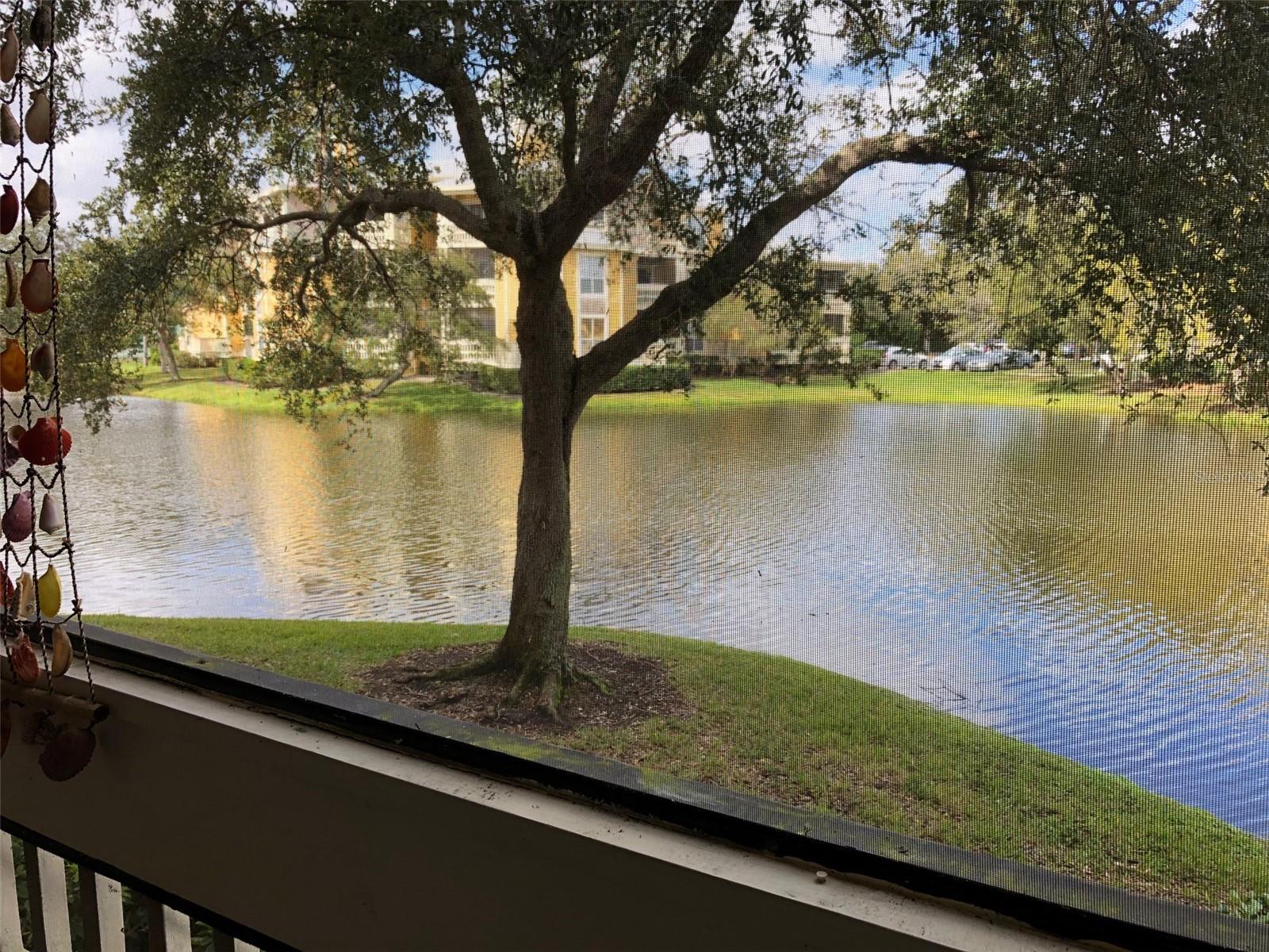 BRIDGEWATER PLACE CONDO - Residential