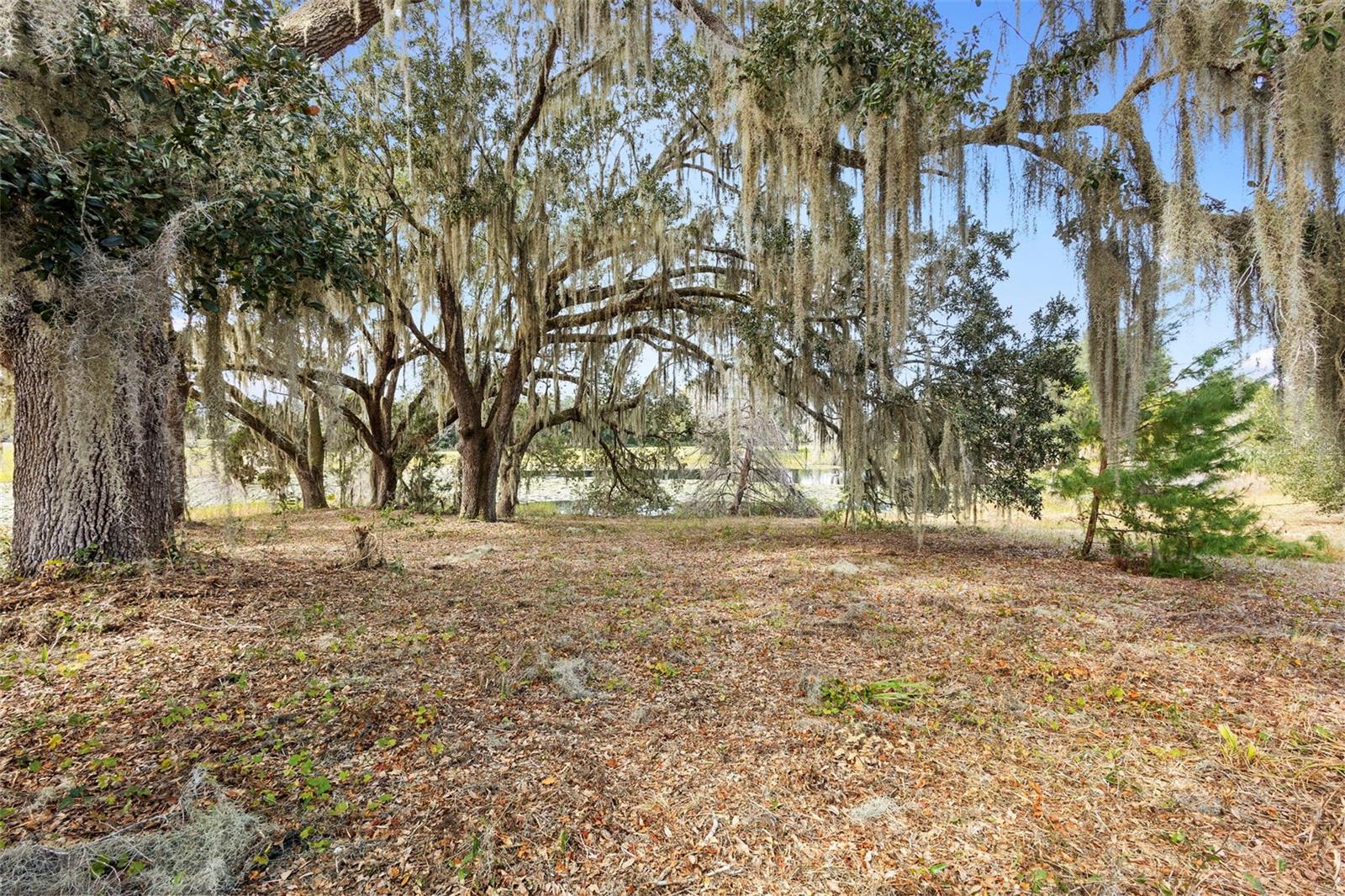 SHADY MDW ESTATES - Land