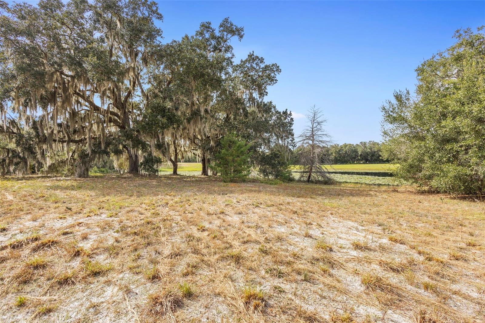 SHADY MDW ESTATES - Land