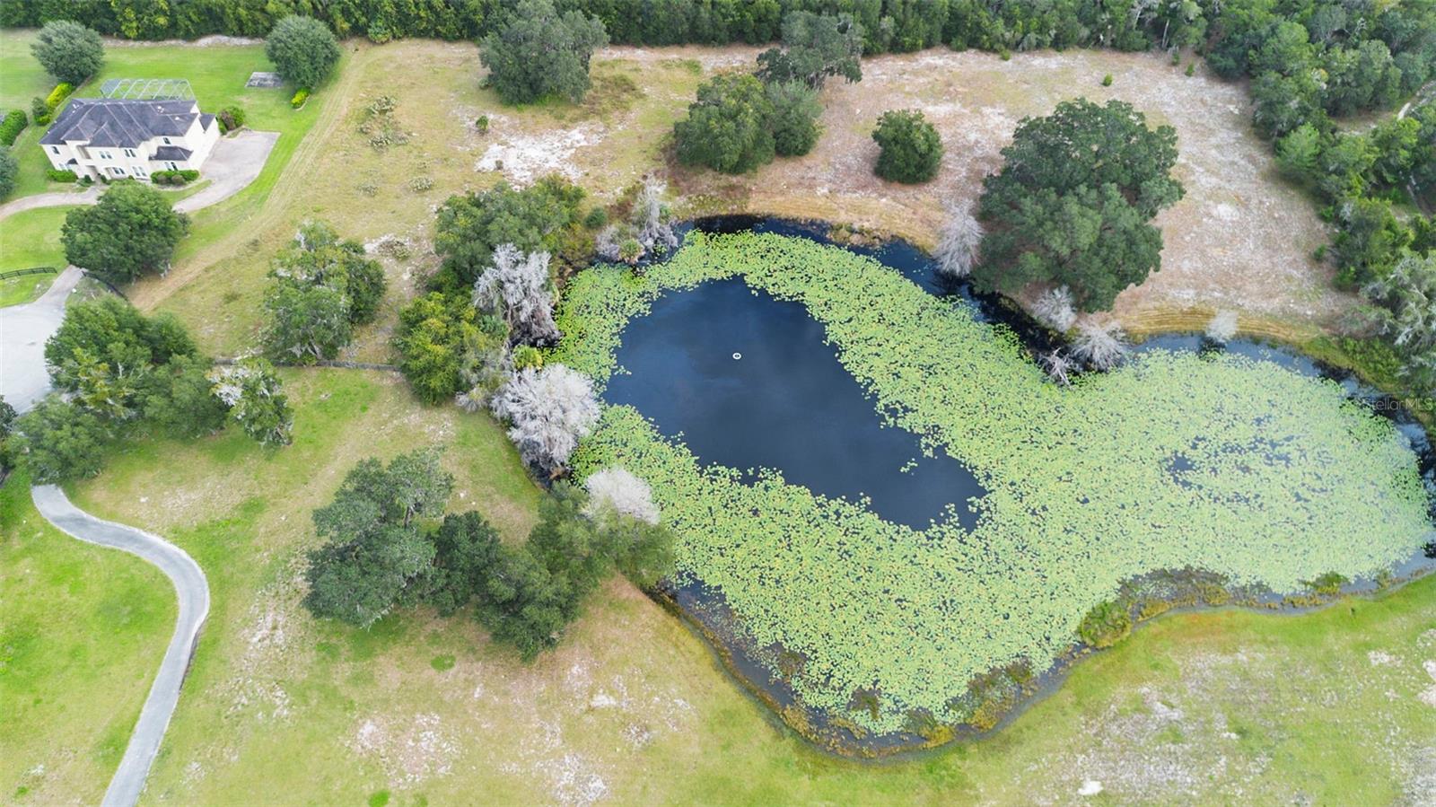 SHADY MDW ESTATES - Land