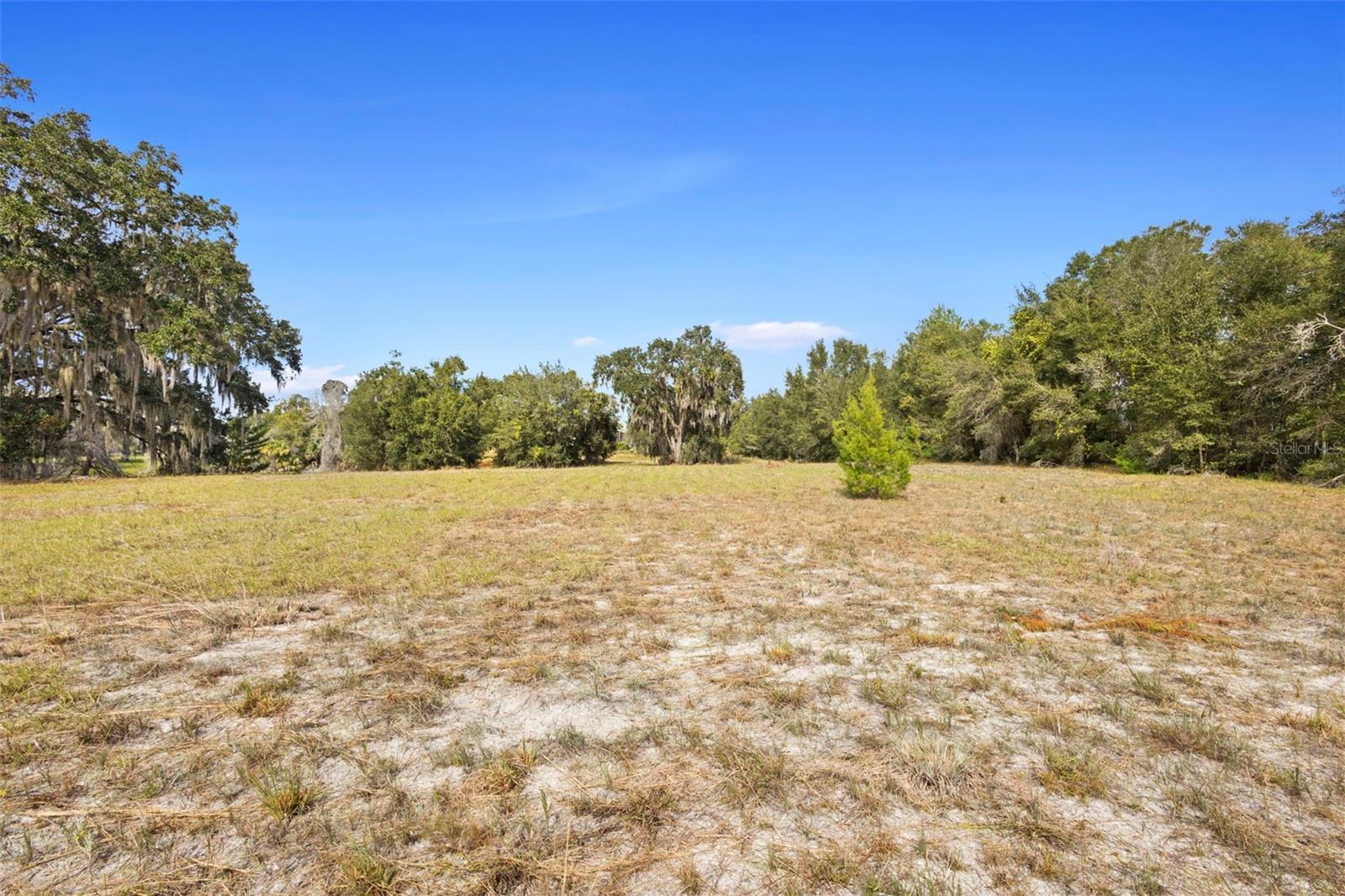 SHADY MDW ESTATES - Land