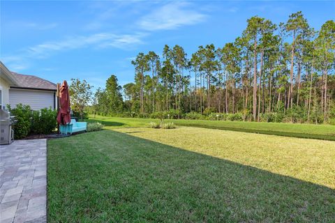 A home in PALM COAST