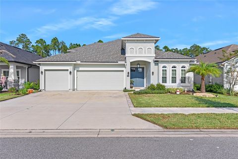 A home in PALM COAST