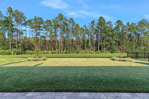 A home in PALM COAST