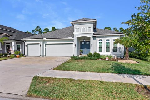 A home in PALM COAST