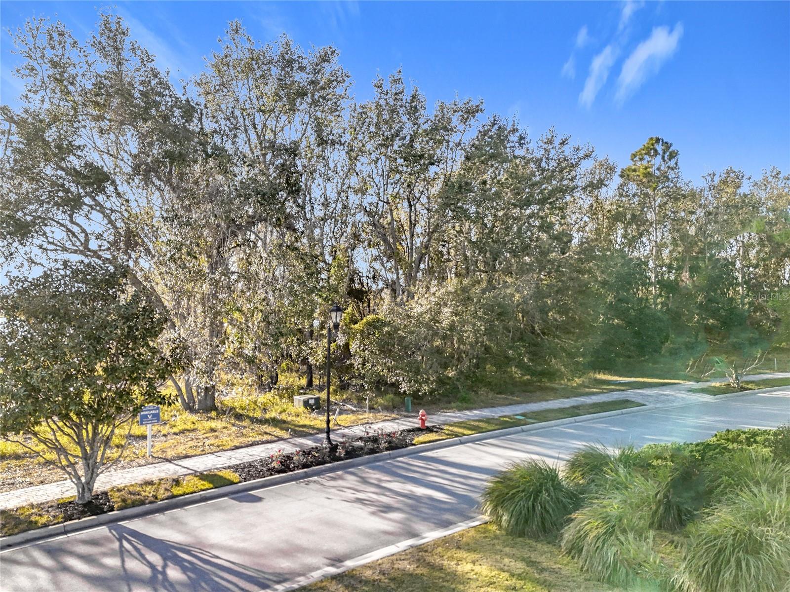 BELLA COLLINA SUB - Land