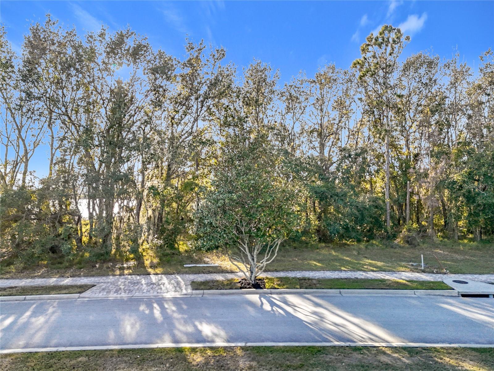 BELLA COLLINA SUB - Land