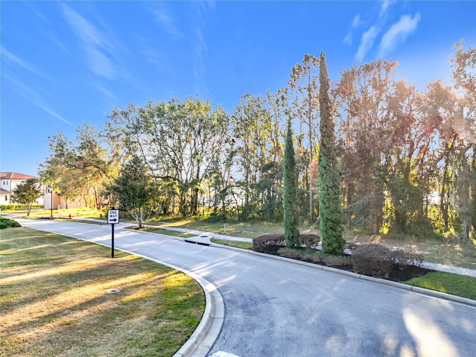 BELLA COLLINA SUB - Land