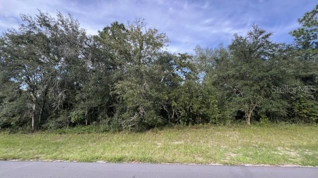 TBD SW 146TH LANE ROAD