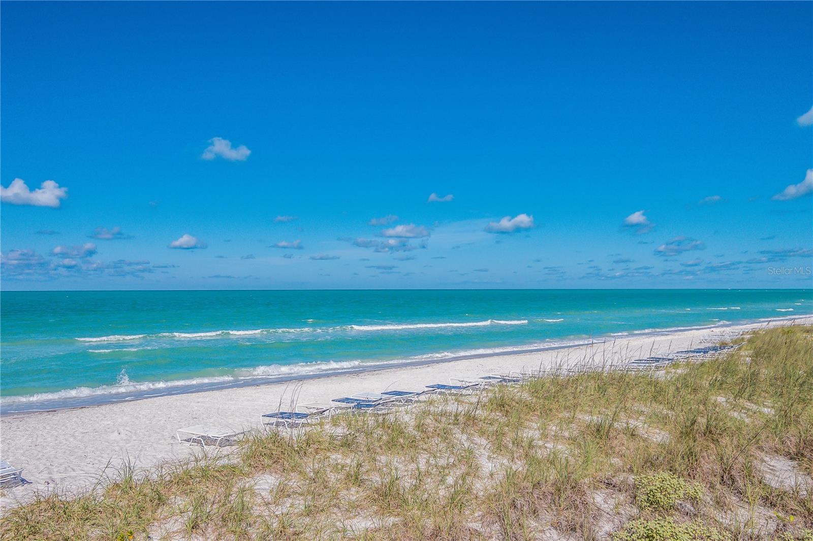 MANOR HOUSE - Residential