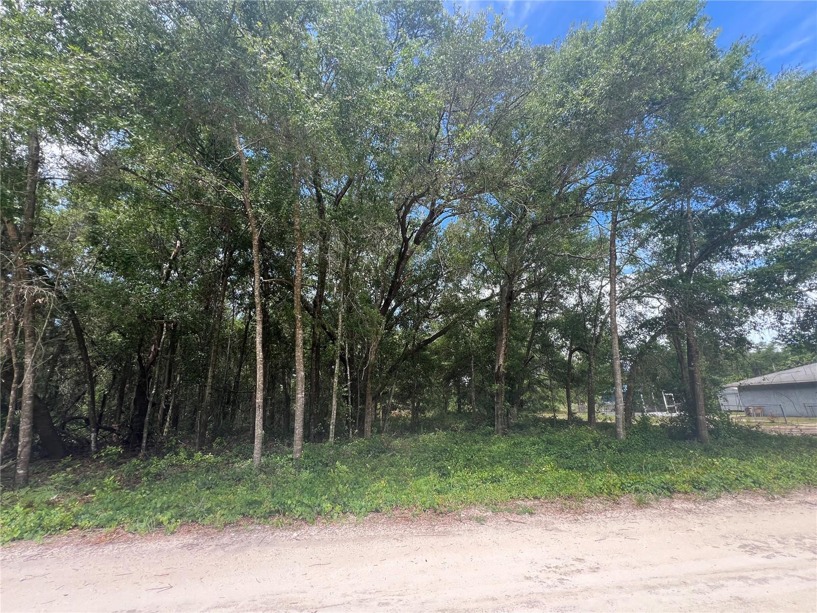 INVESTORS, BUILDERS, POTENTIAL HOME OWNERS- This residential zoned lot is conveniently located approximately 11 minutes from The World Equestrian Center, approximately 7 minutes from shopping plazas, 5 minutes from Ocala International Airport AND approximately 5 minutes from I-75. Go direct to view!