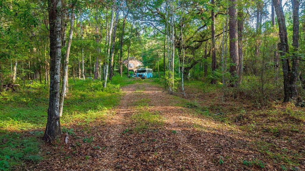 Photo of 1708 NW 230th Place, Brooker, FL 32622 (MLS # GC540609)
