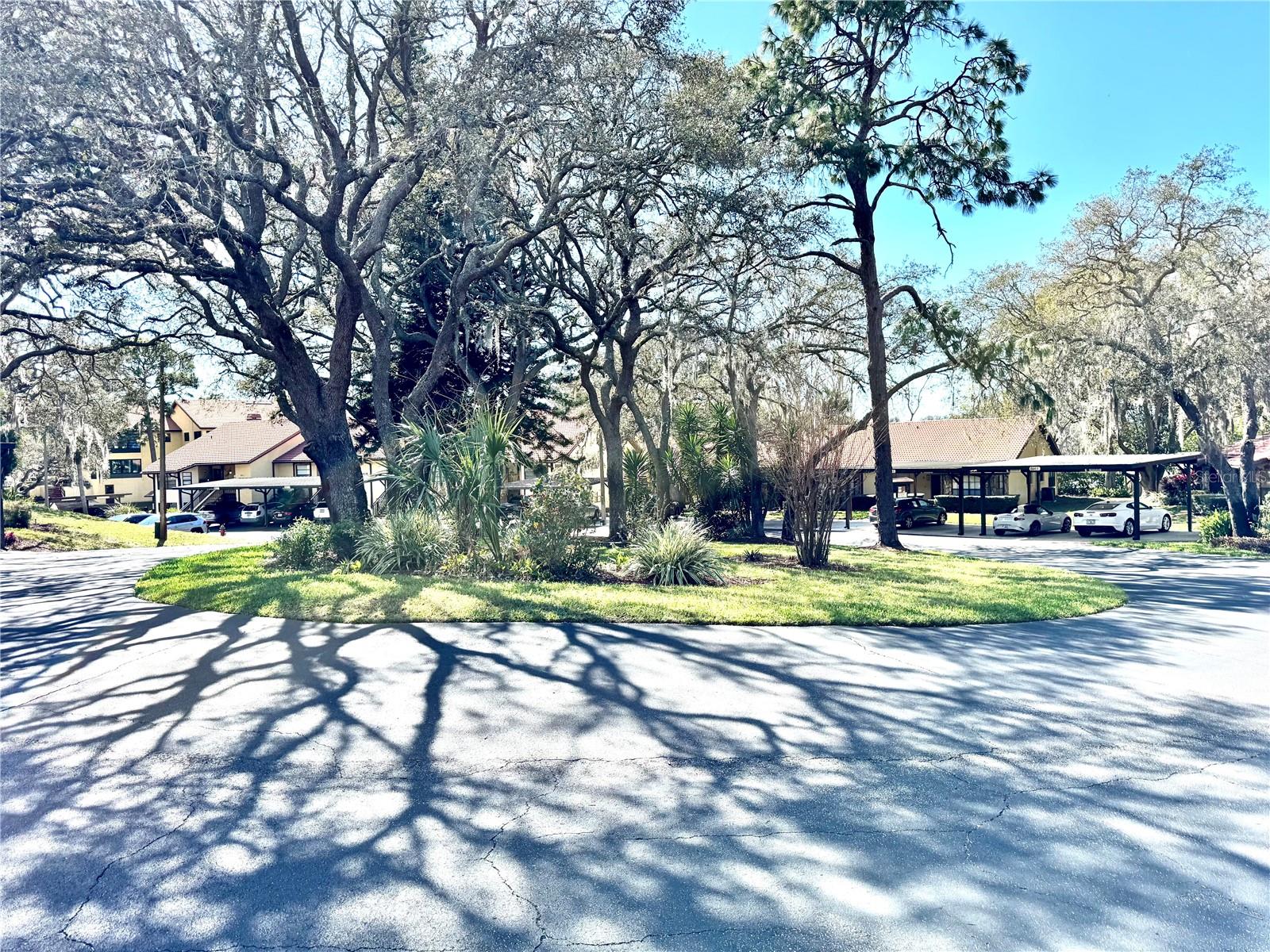 FOREST LAKE VILLAS CONDO - Residential