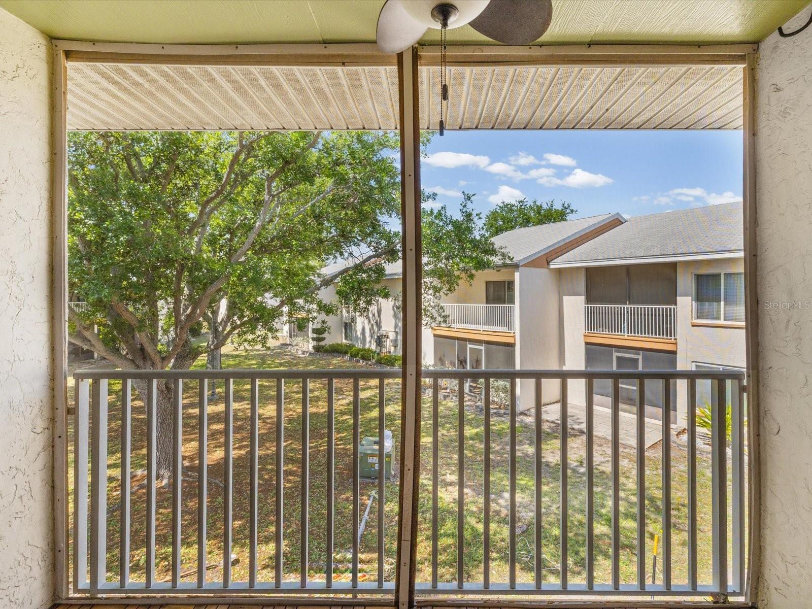 PINE RUSH VILLAS CONDO - Residential