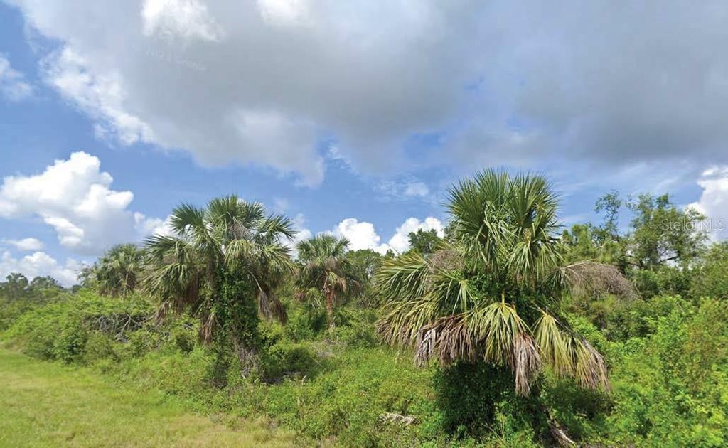 Photo of 2277 Drennon Street, Port Charlotte, FL 33953 (MLS # O6321245)