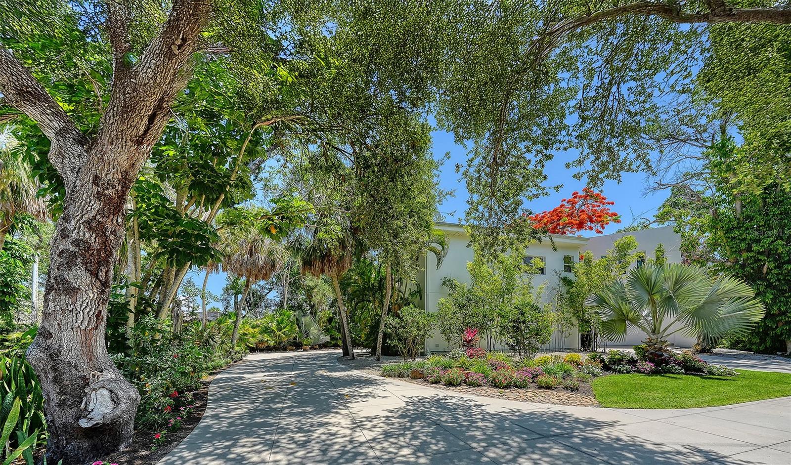 COCOANUT BAYOU - Residential