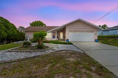 Photo of 13378 Drayton Drive, Spring Hill, FL 34609 (MLS # TB8496486)