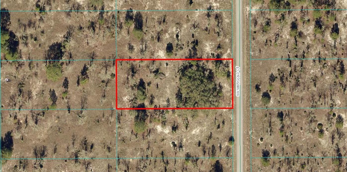 Listing image 5