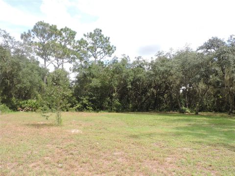 A home in LAKE WALES