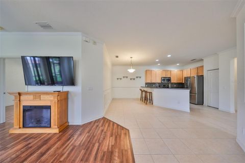 A home in APOLLO BEACH