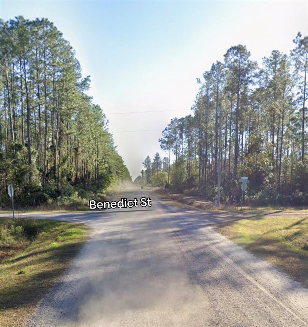 Photo of 10460 Dillon Avenue, Hastings, FL 32145 (MLS # A4699327)