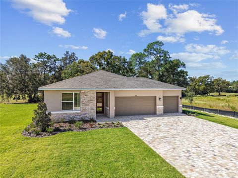 Photo of 9293 Players Drive, Weeki Wachee, FL 34613 (MLS # S5129649)