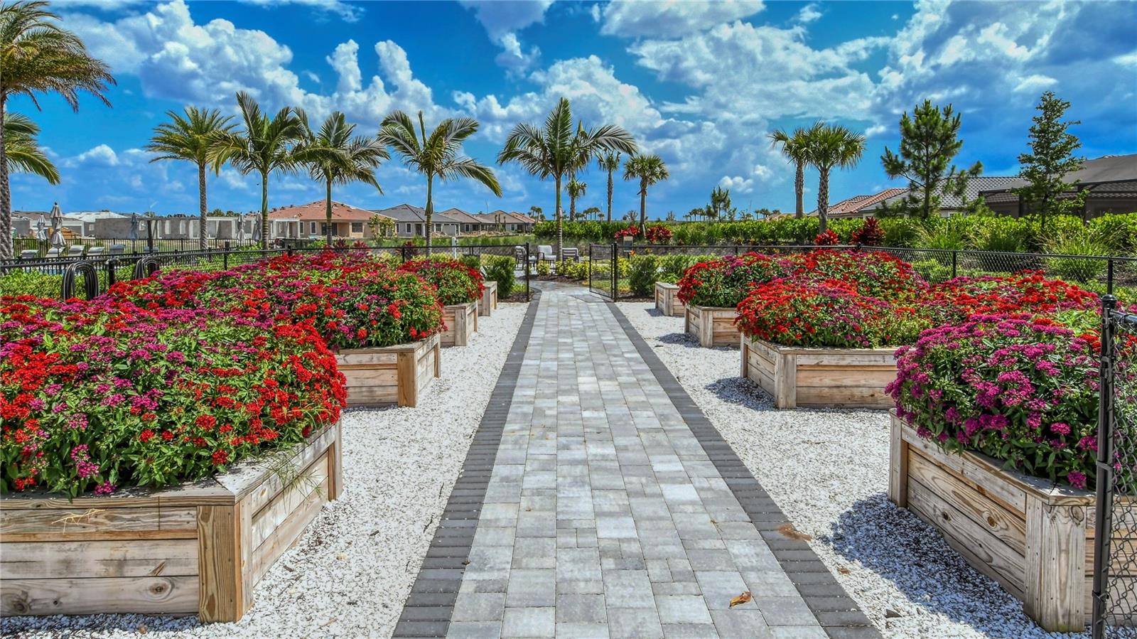 AZARIO ESPLANADE PH II SUBPH A, B & P - Residential Lease