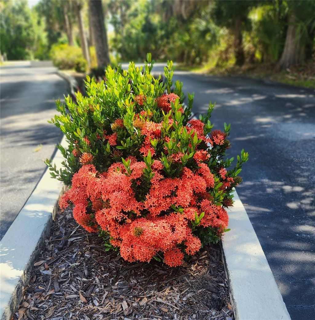 Photo of 22481 Westchester Boulevard #A19, Punta Gorda, FL 33980 (MLS # R4909527)
