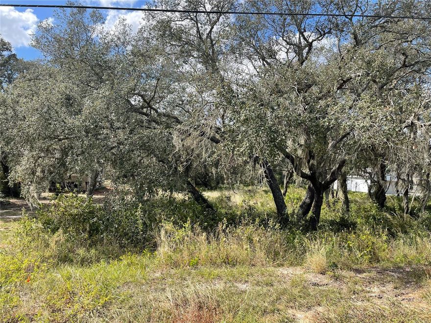 Don't miss this opportunity to own over an acre of land, HIGH & DRY.  Just on the outskirts of City of Lake Wales, you have a good slice of country.  Off Frame Modular or Site Built homes only.   This lot has city water available and electric nearby. Just needs septic. Close to Bok Towers, and shops.