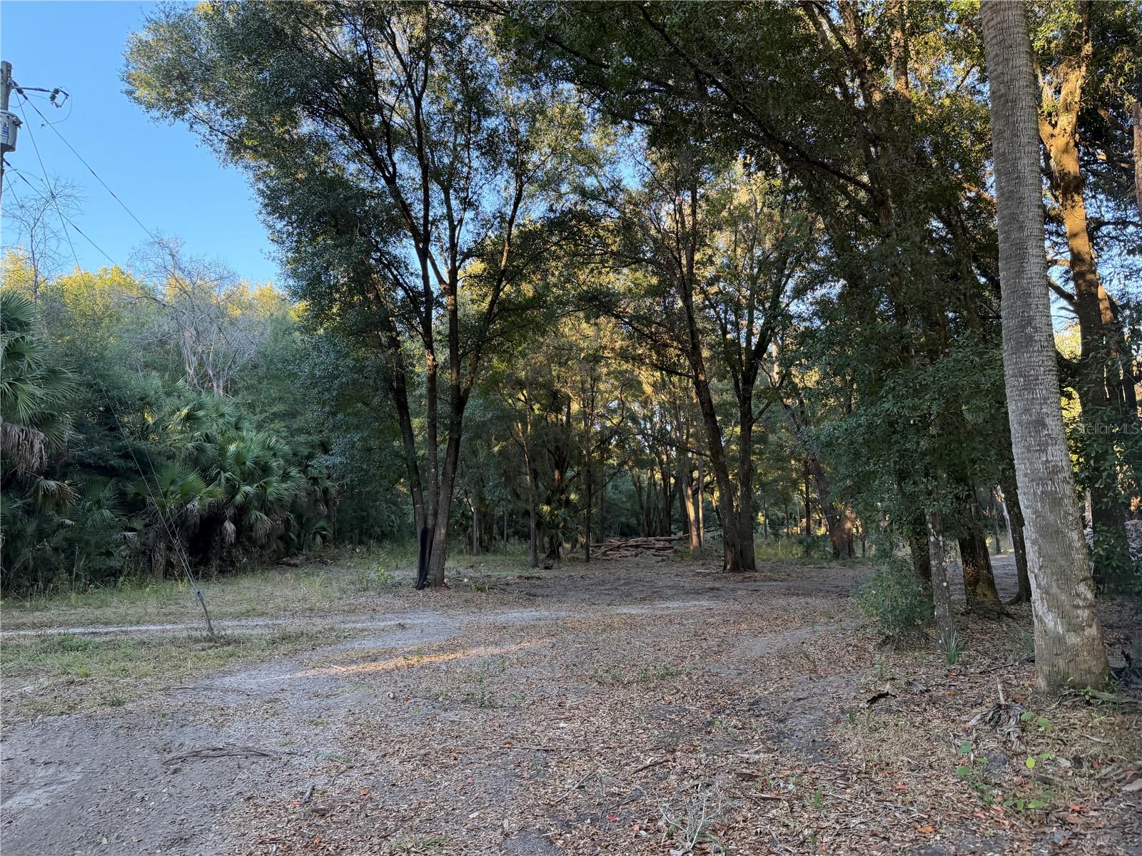 CITRA COMMERCE CENTER - Residential