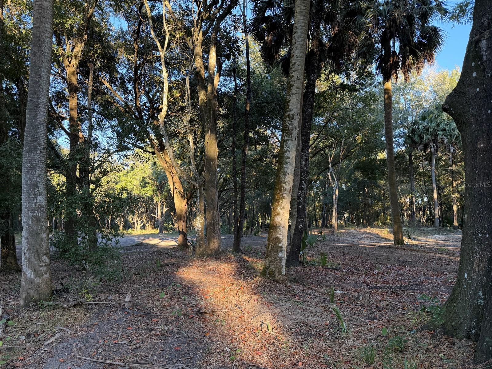 CITRA COMMERCE CENTER - Residential