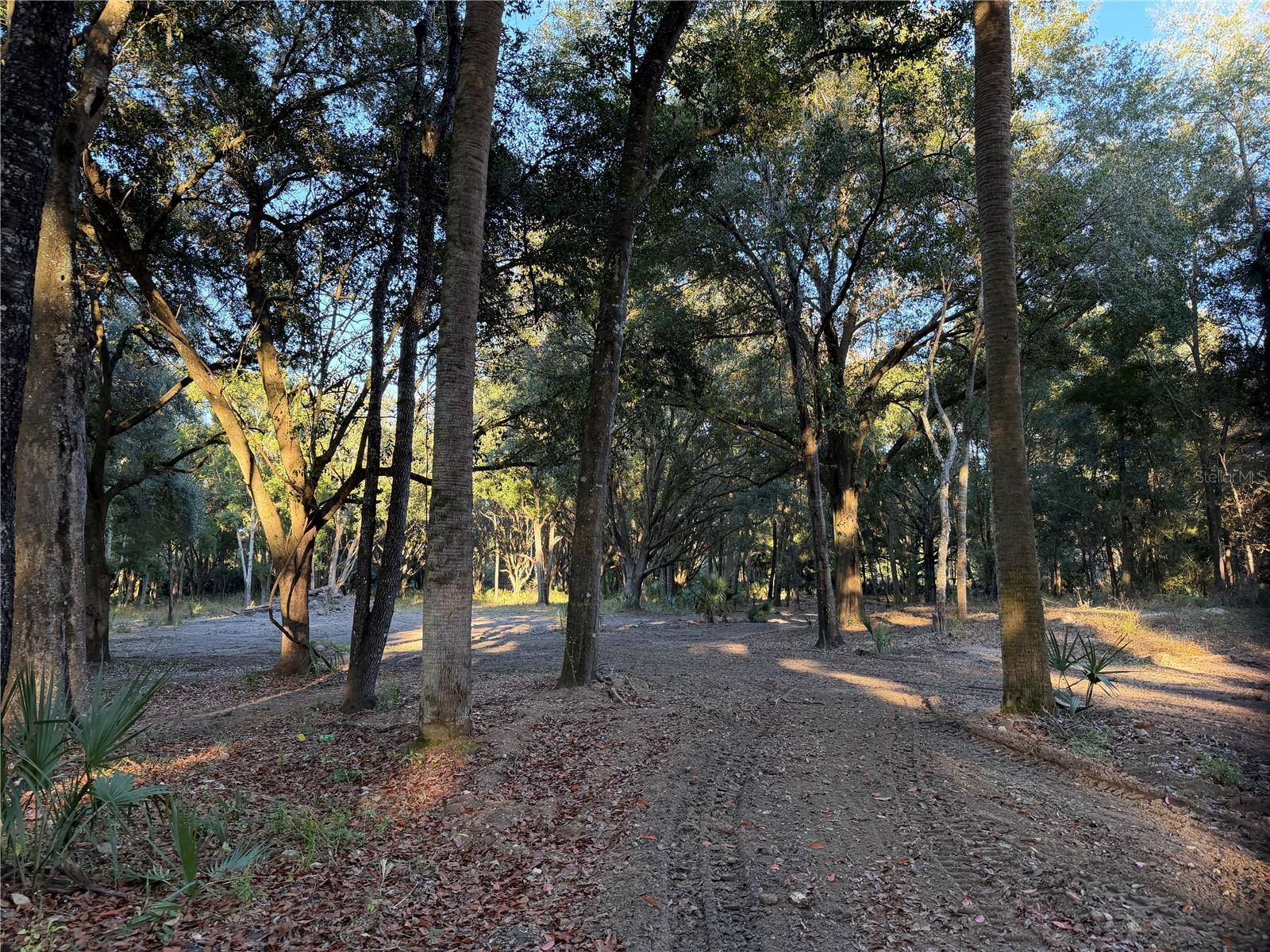 CITRA COMMERCE CENTER - Residential