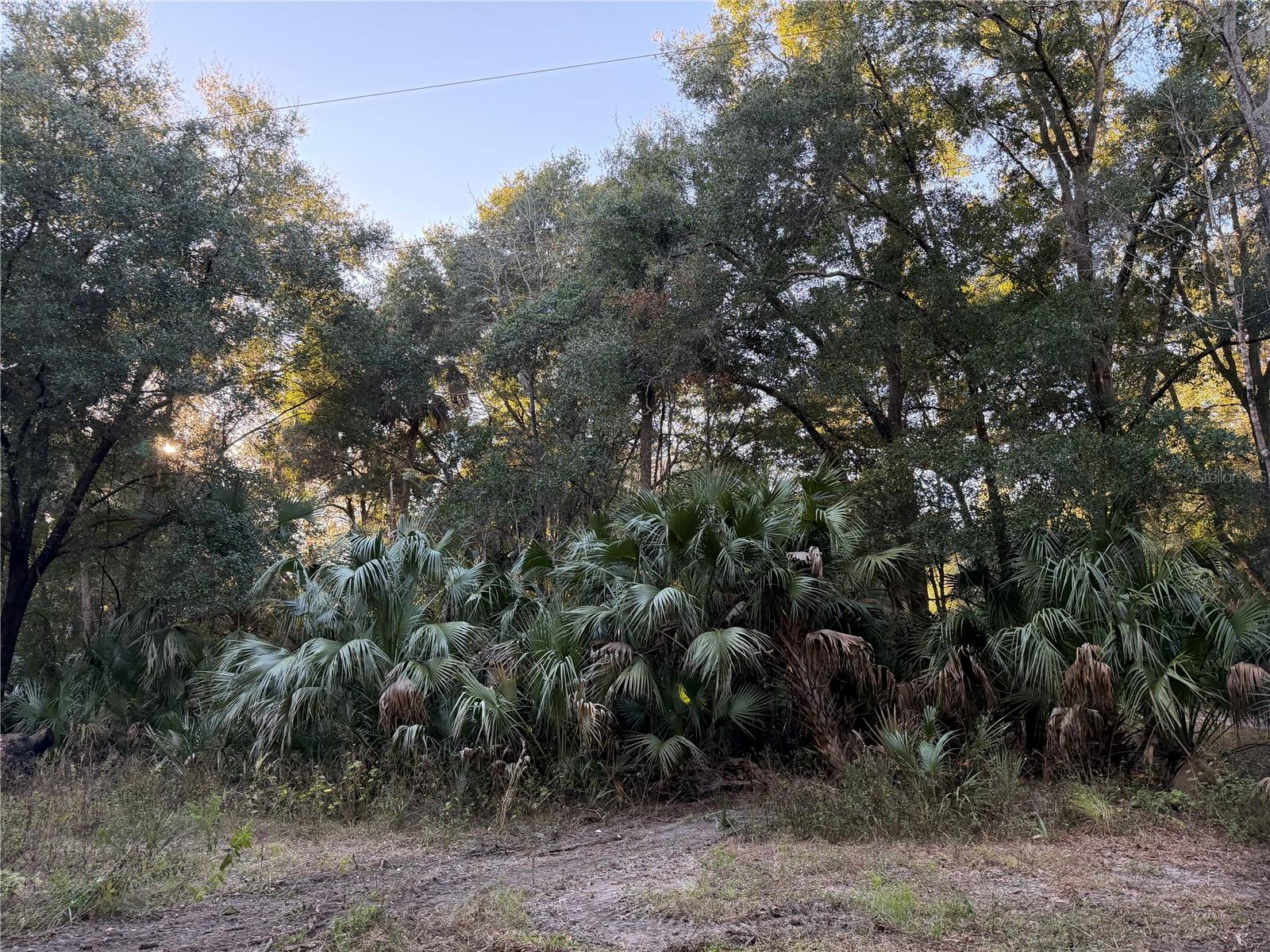 CITRA COMMERCE CENTER - Residential