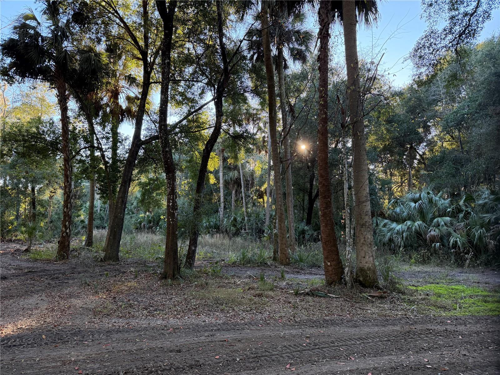 CITRA COMMERCE CENTER - Residential